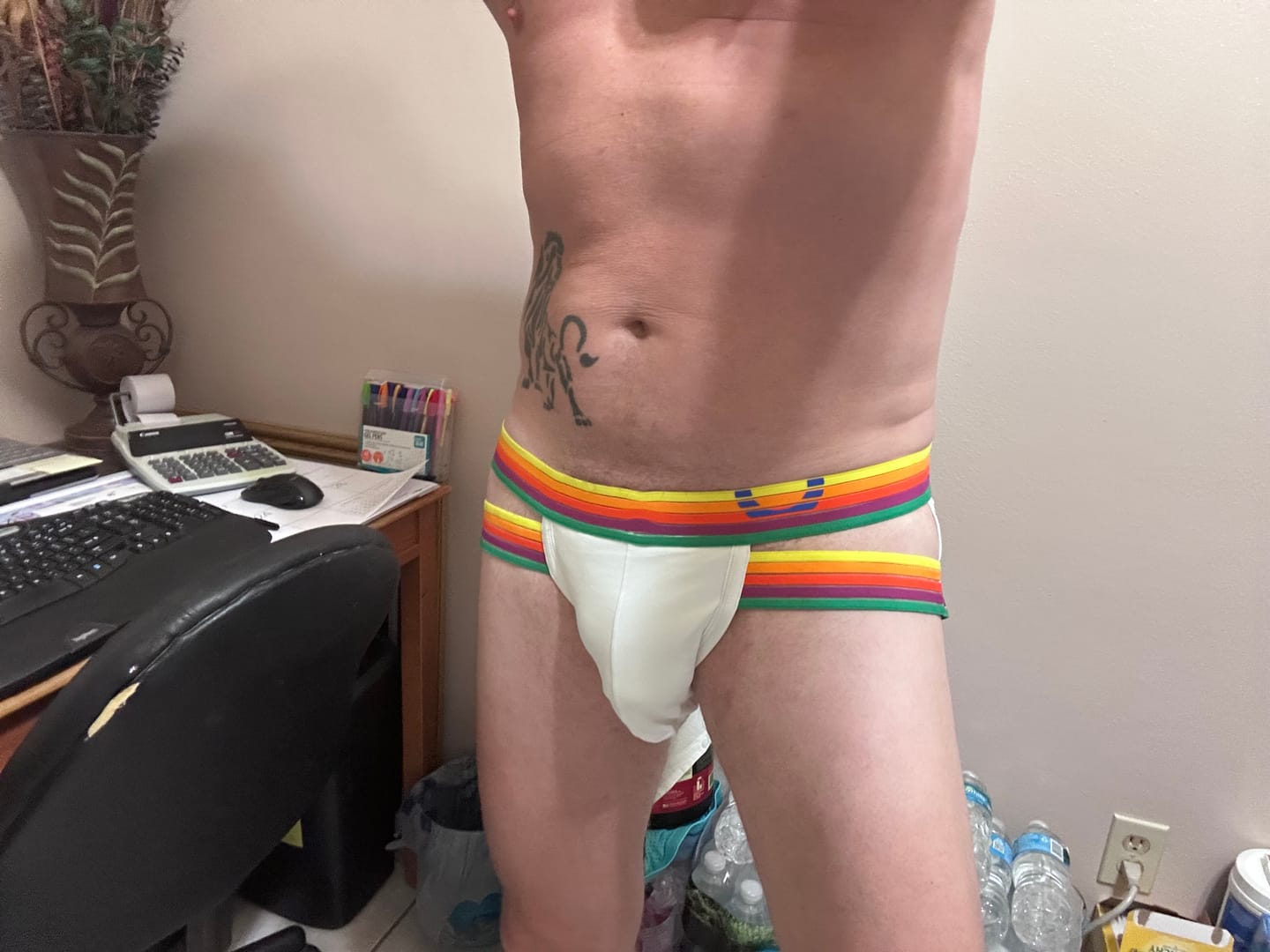 Customer photo review of RAINBOW RUSH Lift Holster Brief