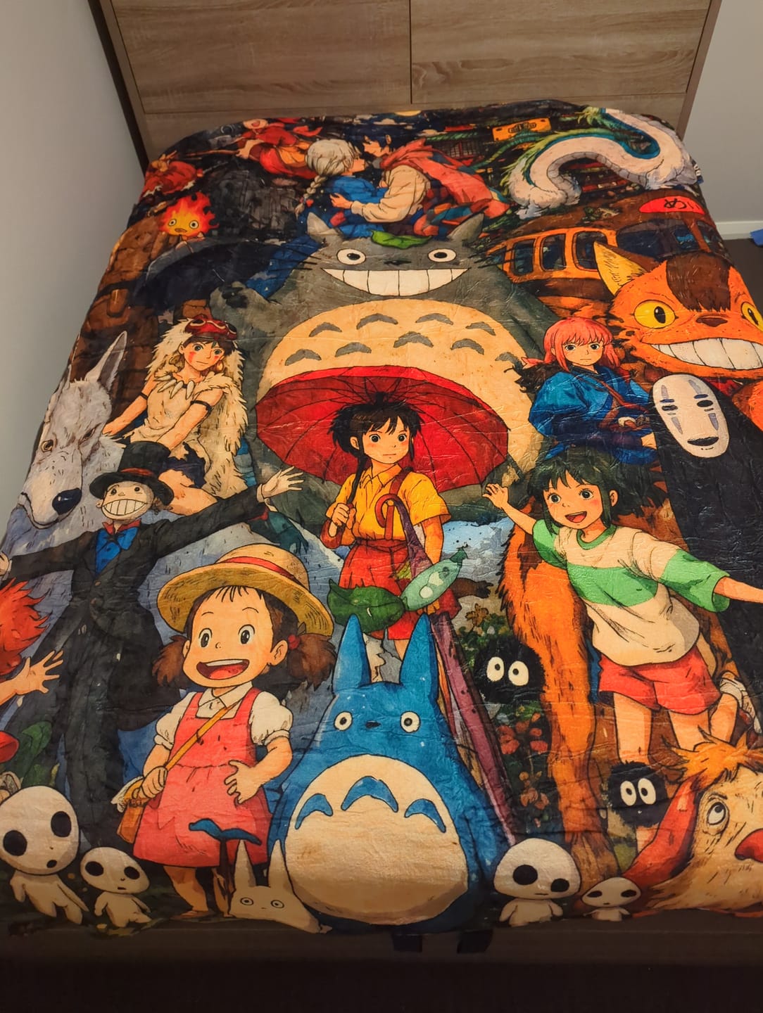 Customer photo review of Studio Ghibli Anime Pattern Flannel Blanket