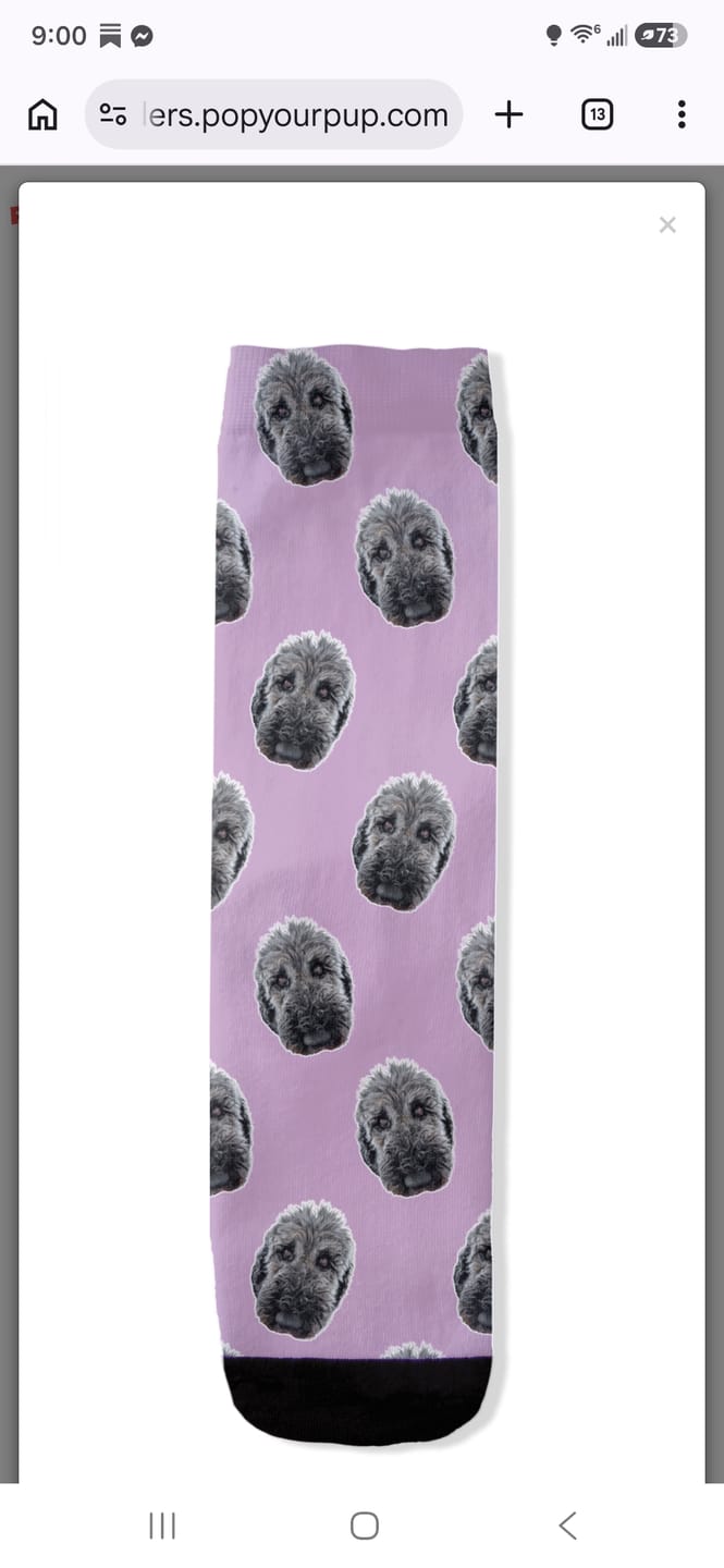 Customer photo review of Custom Pet Art Socks