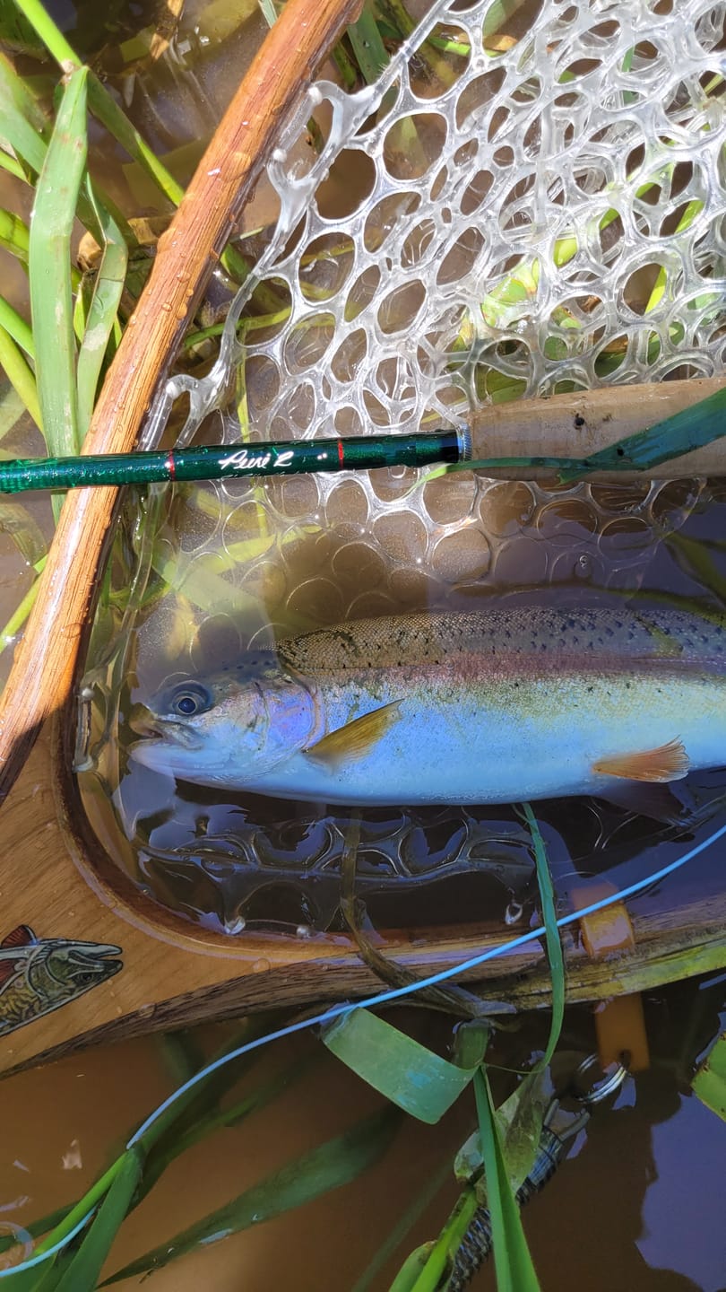 Customer photo review of Winston Pure 2 Fly Rod