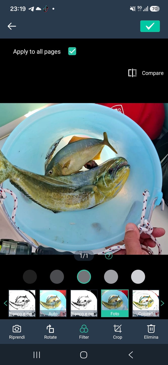 Customer photo review of Combo traina costiera