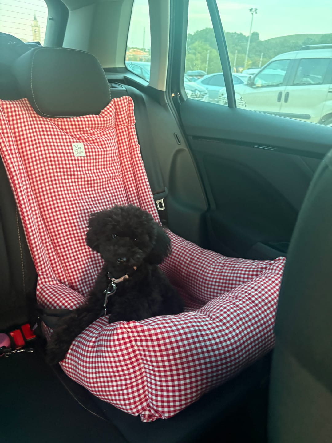 Customer photo review of Seggiolino Auto Cotone Vichy Rosso