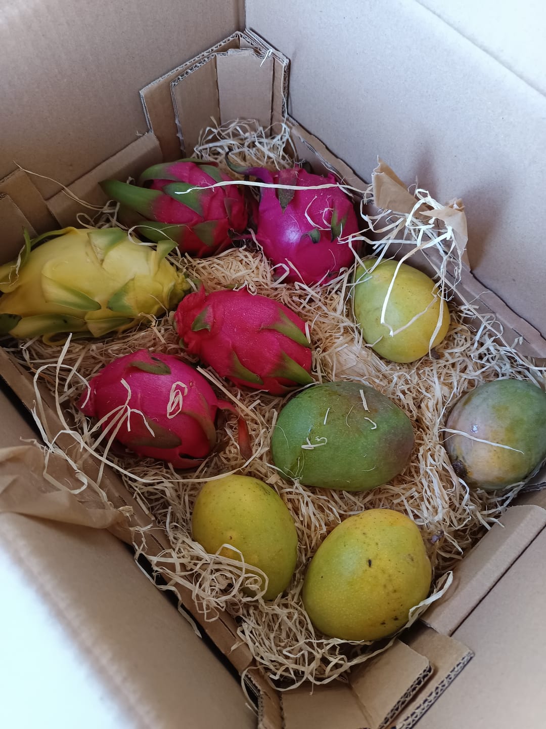 Customer photo review of Drachenfrucht bunter Mix Bio von Salvador