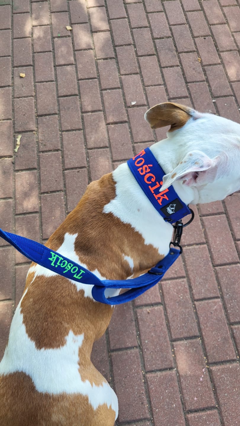 Customer photo review of Smycz przepinana dla psa z imieniem - Personal Multi Leash