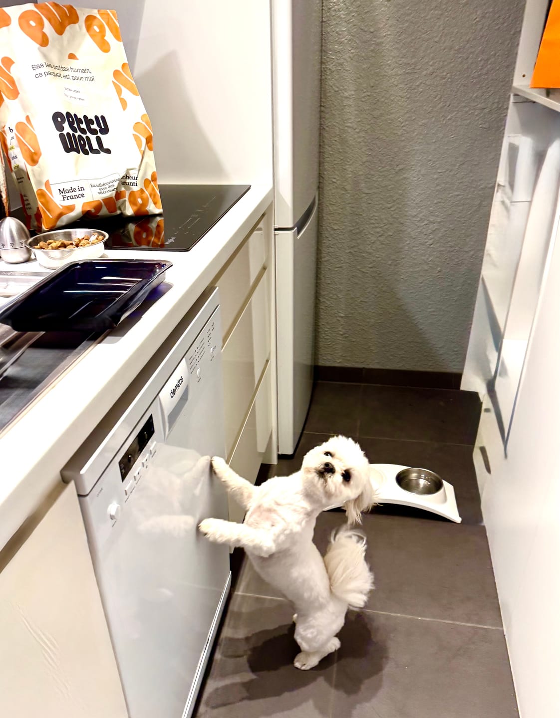 Customer photo review of Croquettes Ultra Light pour Chien - 0. 285684 Mig