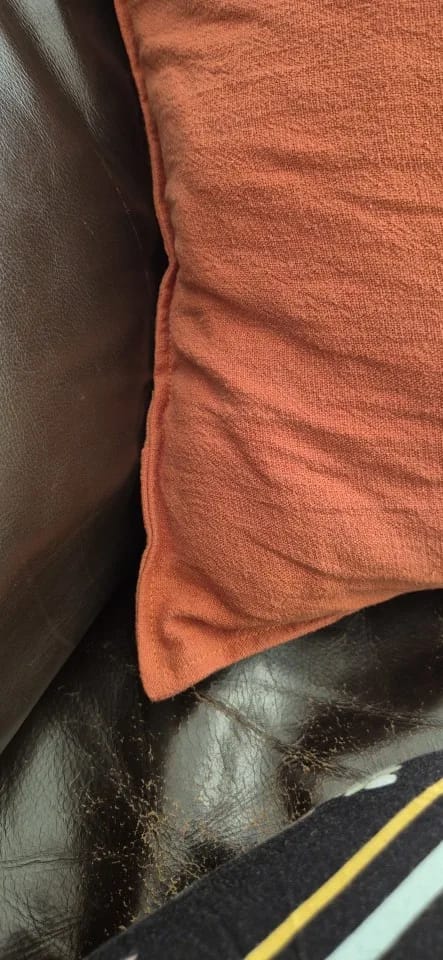 Customer photo review of French Flax Linen Pillowcase