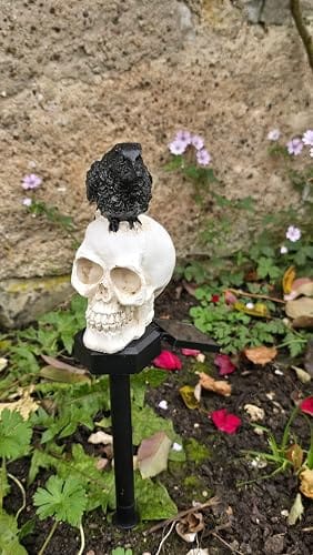Customer photo review of Halloween Crow Skull Solar Light™