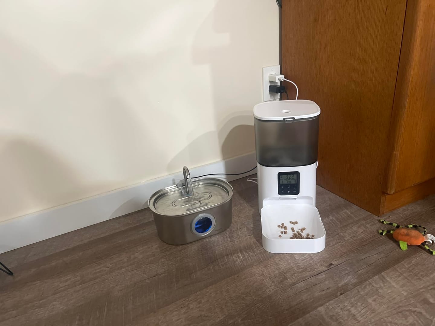 Customer photo review of Futterautomat mit Kamera VisionFeed