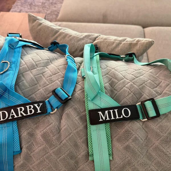 Customer photo review of DOGSPOKE™ RestEasy No Pull Dog Harness