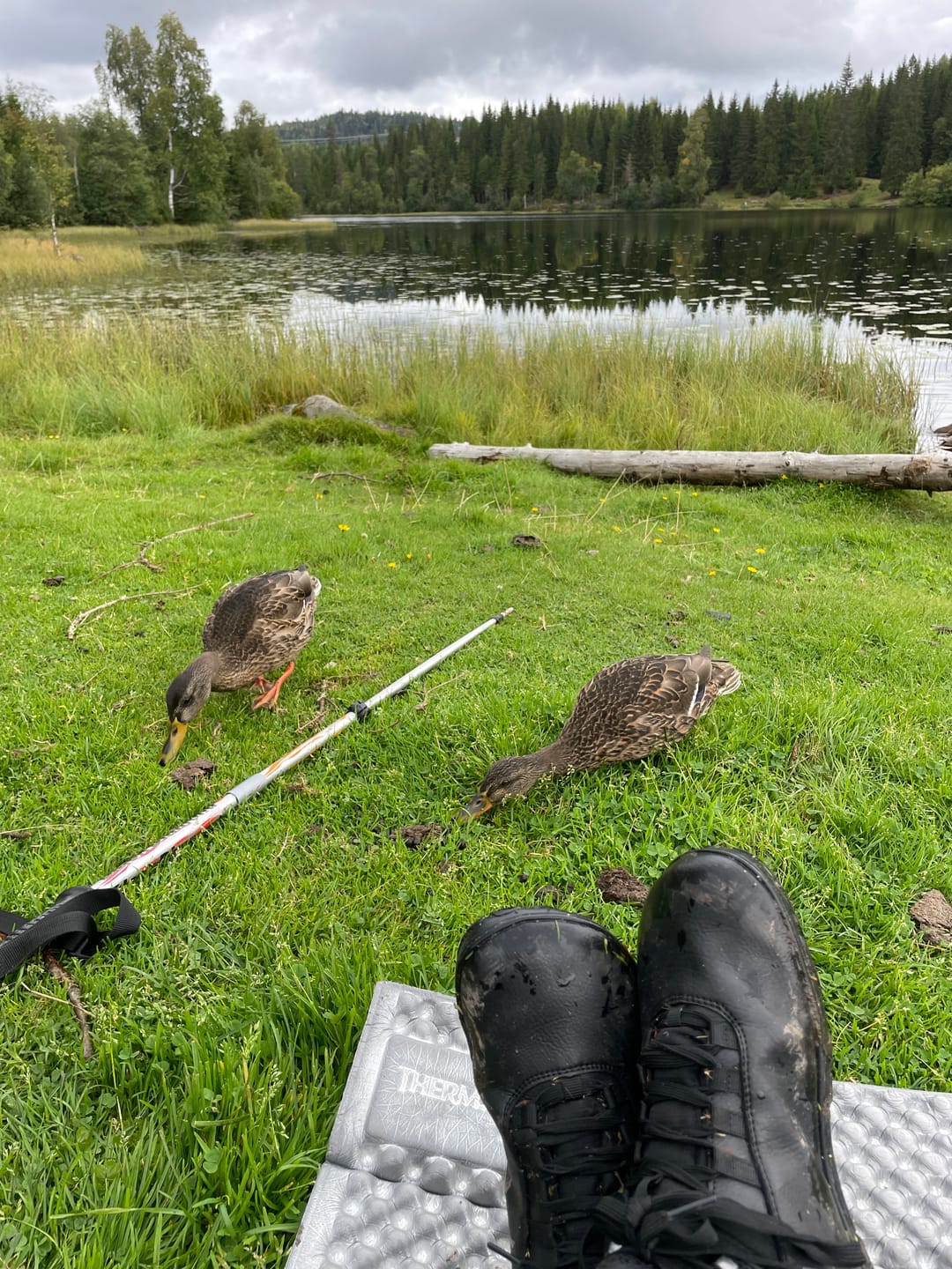 Customer photo review of Vaistoa Uoma 2 | Barefoot Trekking Boots