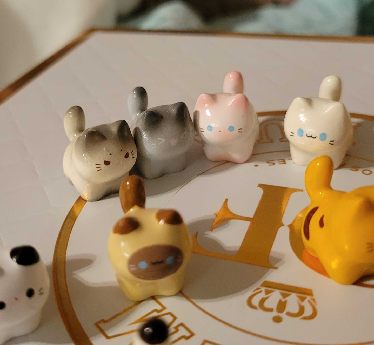 Customer photo review of Meow Group Series Mini Beans Blind Box