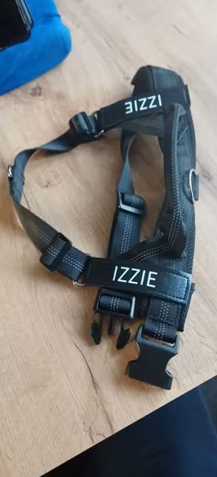 Customer photo review of DOGSPOKE™ RestEasy No Pull Dog Harness