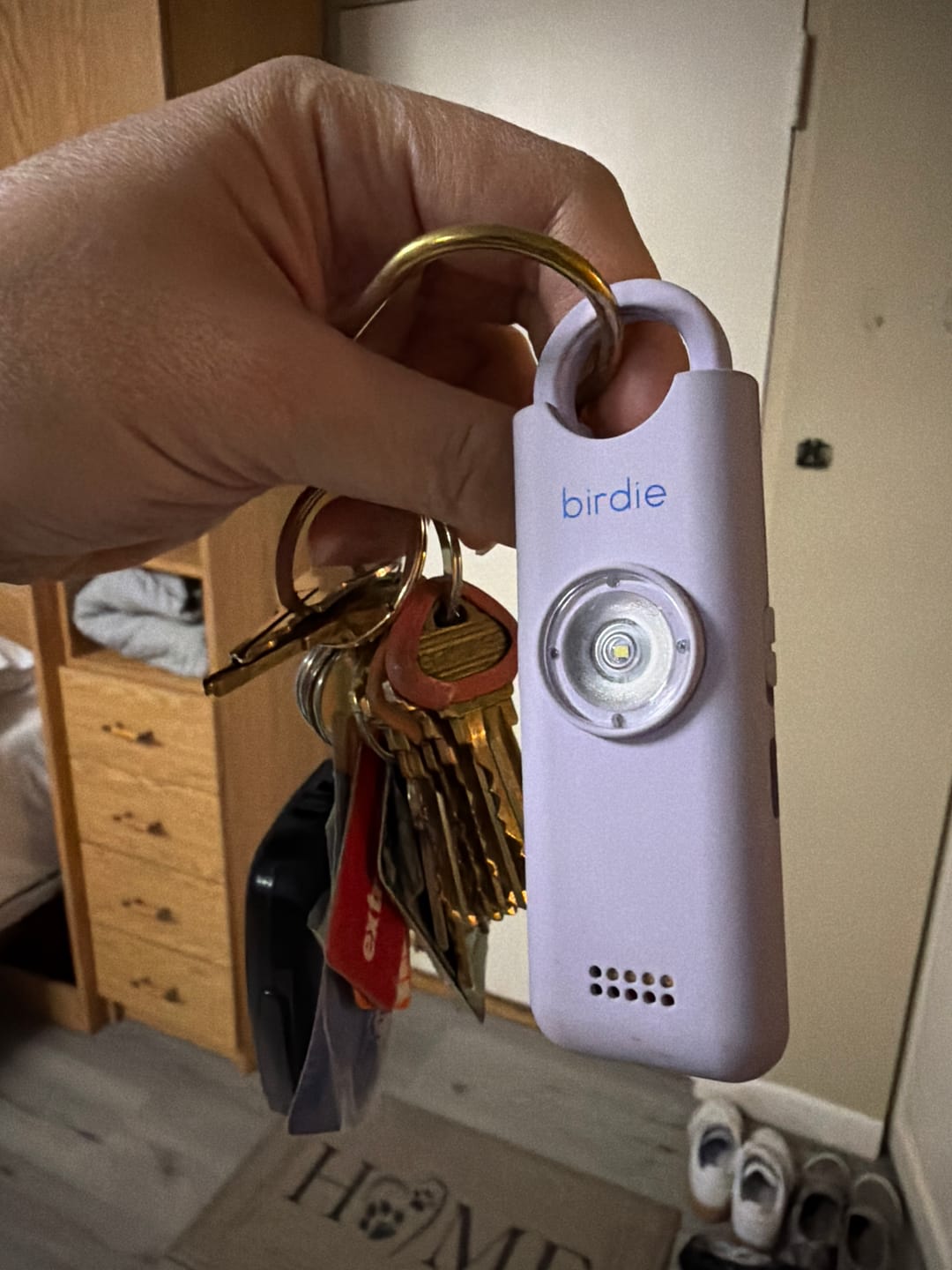 Customer photo review of Birdie 3.0