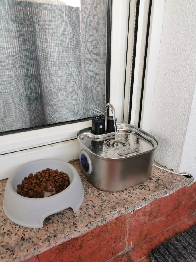 Customer photo review of 3.2L Pet Water Fountain – Wireless or Plug-In Options