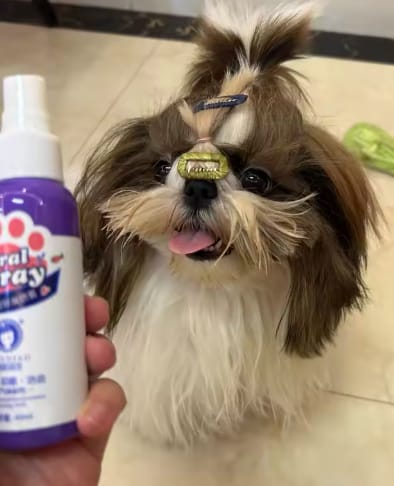 Customer photo review of Spray Dental Para Perros y Gatos