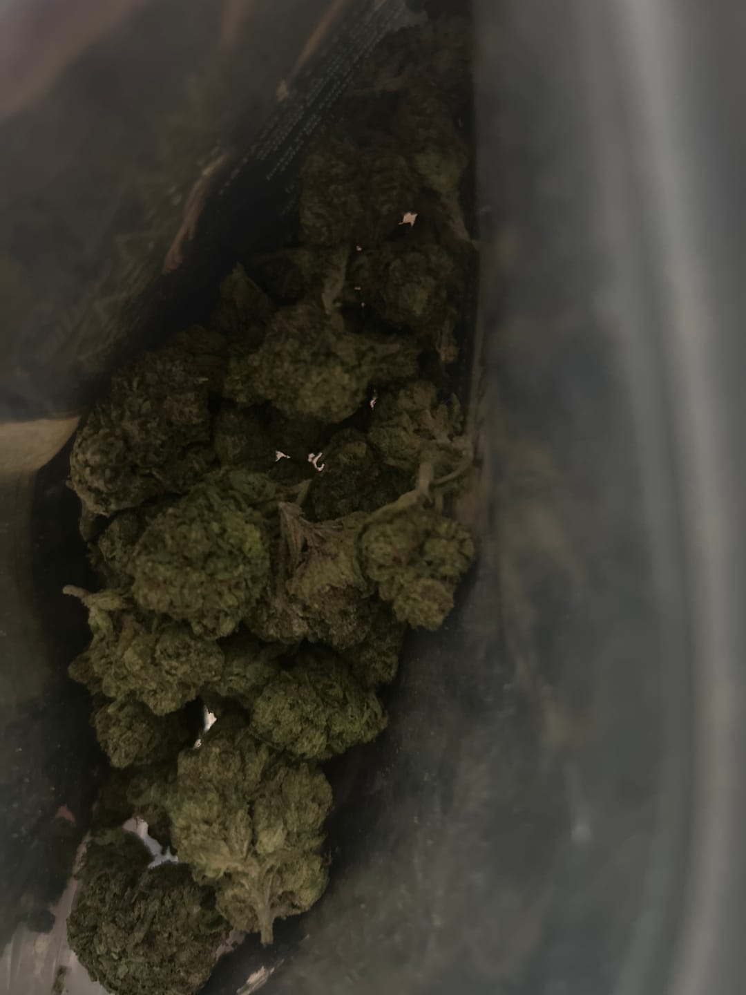 Customer photo review of THCA Queen