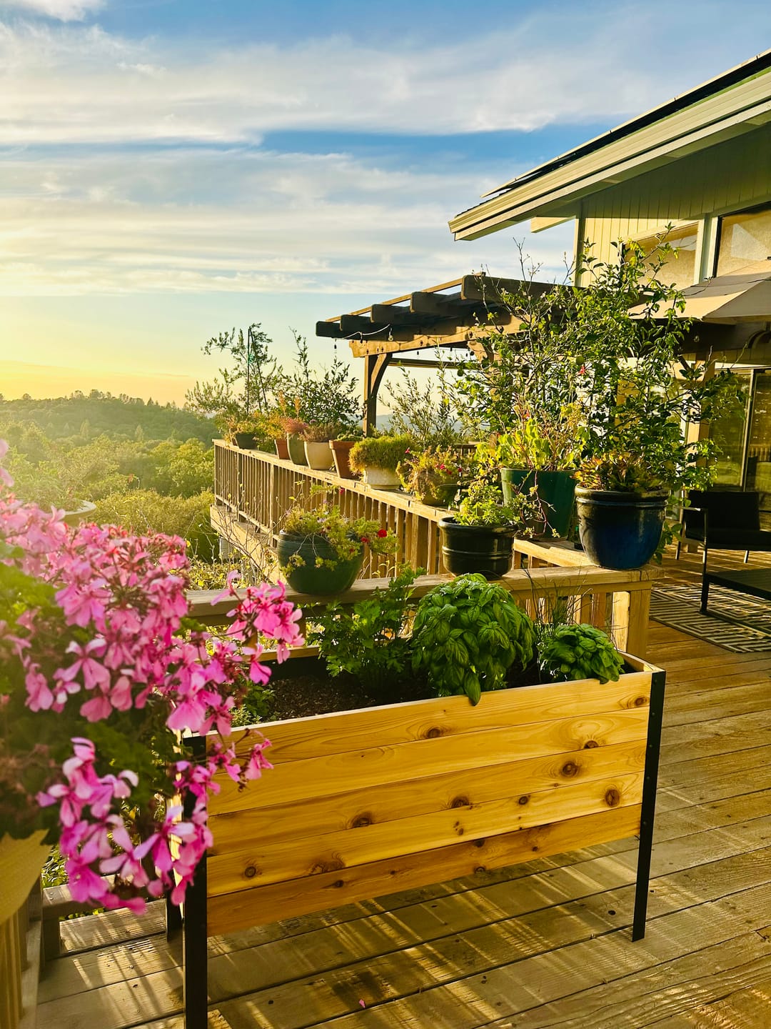 Customer photo review of 18″ x 18″ Planter Box - 24" TALL / Select Grade