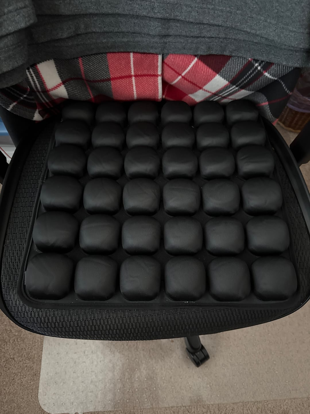 Customer photo review of Travel Cushion