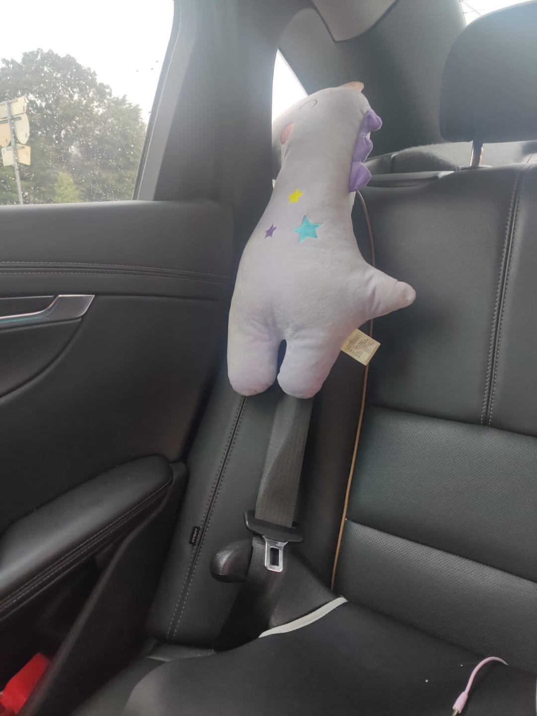 Customer photo review of Reposacabezas Infantil para Coche