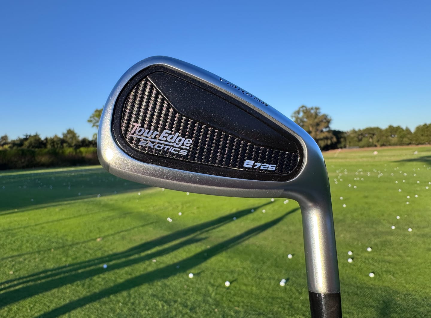 Customer photo review of Exotics E725 Irons