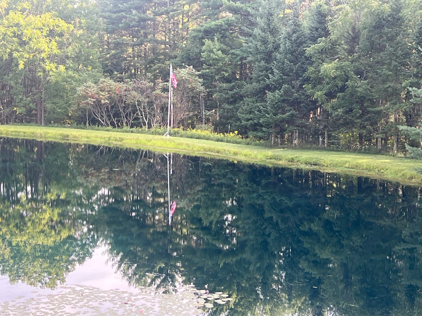 Customer photo review of 4' x 6' American Flag