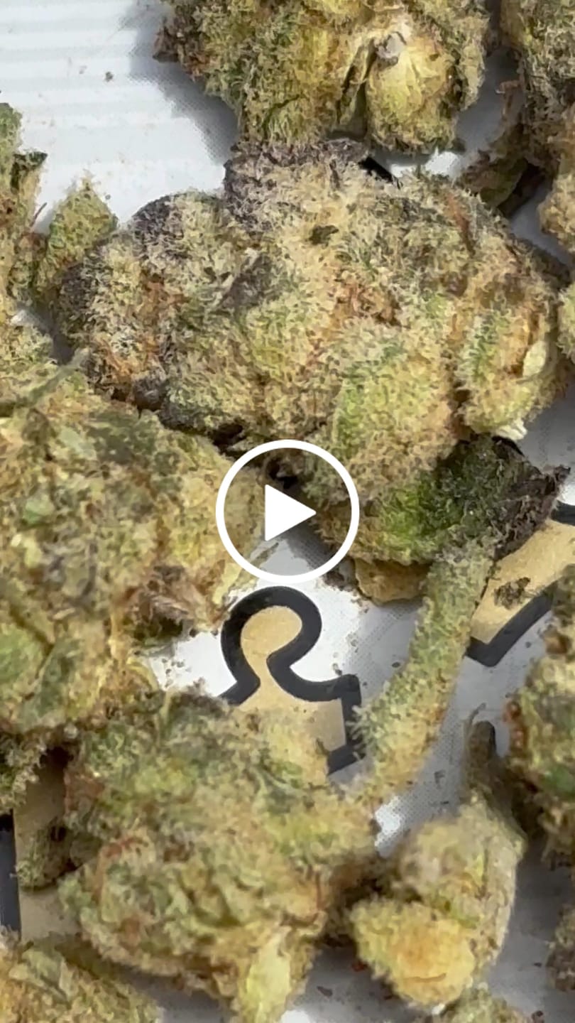 Customer video review of Yerba Fuel