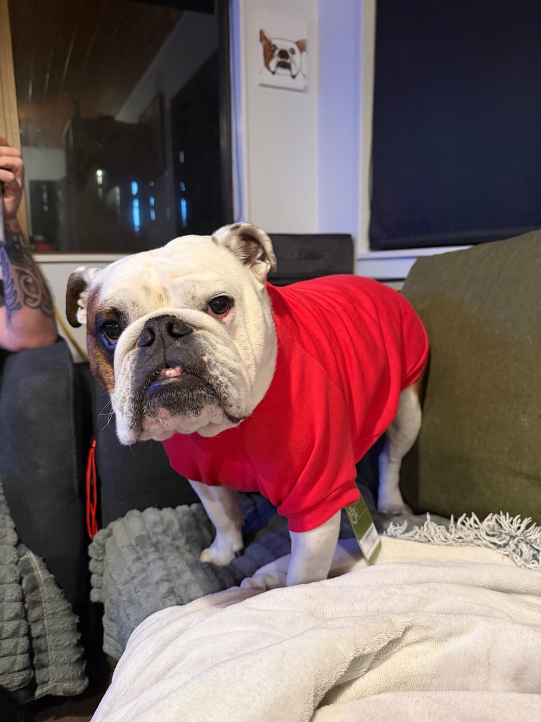 Customer photo review of Sweater - Sloane - Red