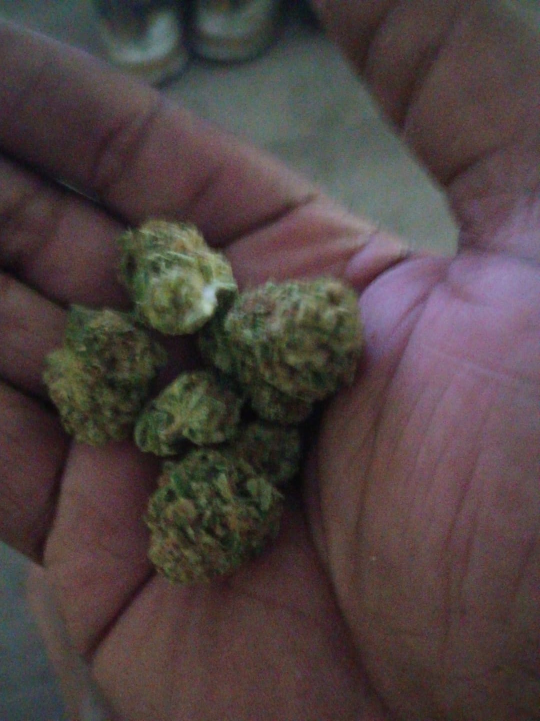 Customer photo review of Godfather OG - 28 Grams - Indica