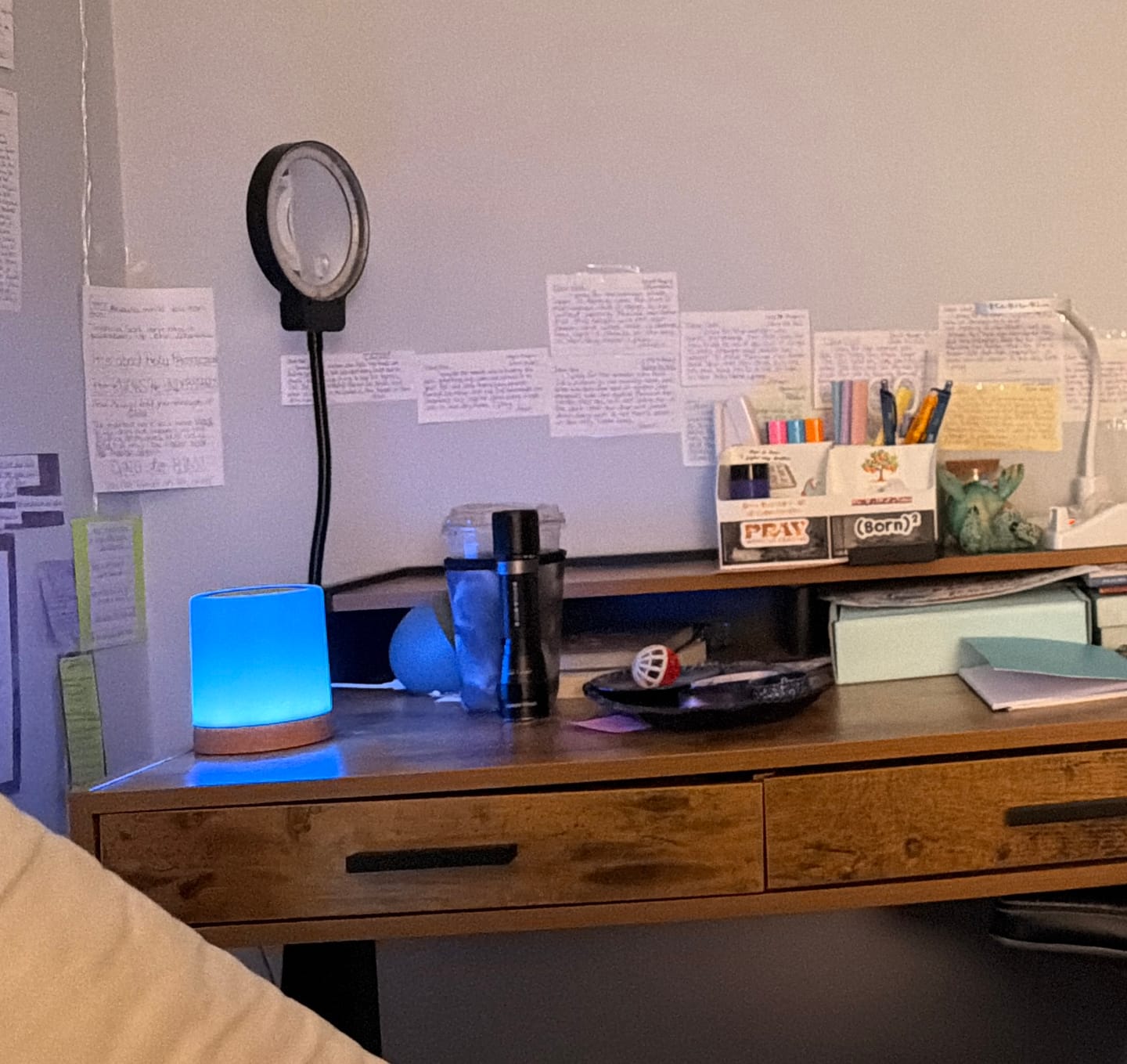 Customer photo review of Friendship Lamp