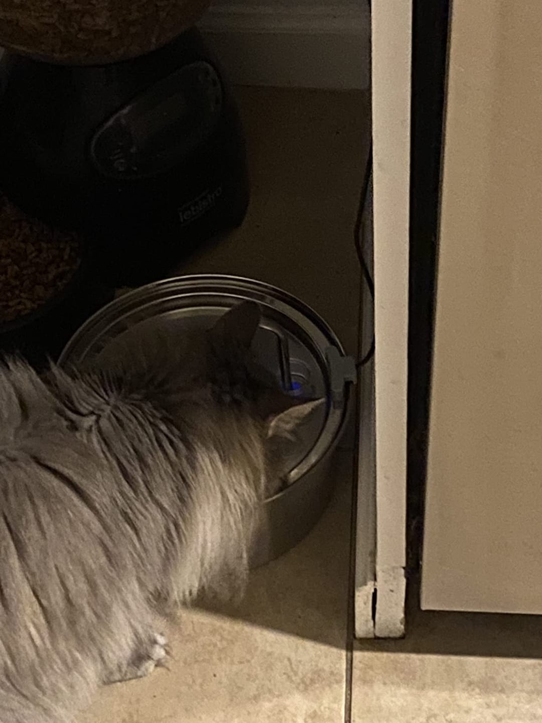 Customer photo review of Doggy FreshFlow™ Healthy Hydration 1
