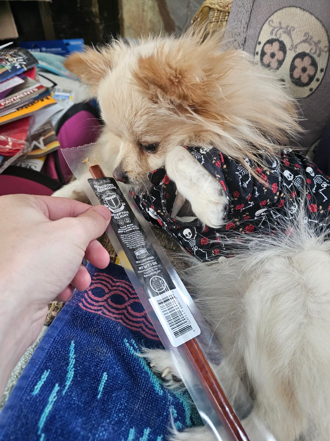 Customer photo review of Slow Burn Alligator Snack Stick | Rogue | Mythical Meats