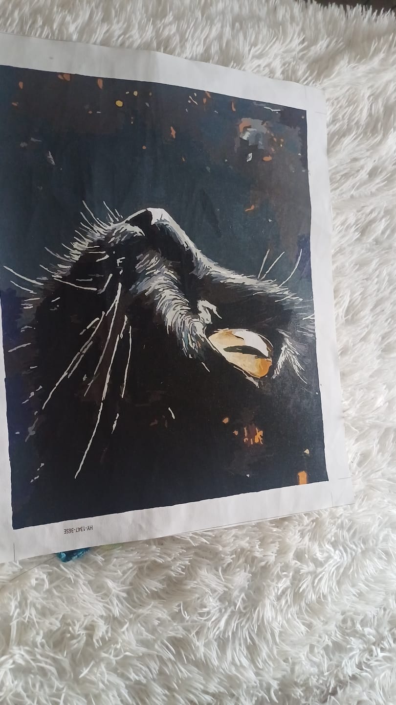 Customer photo review of Malen nach Zahlen - Weltkatze