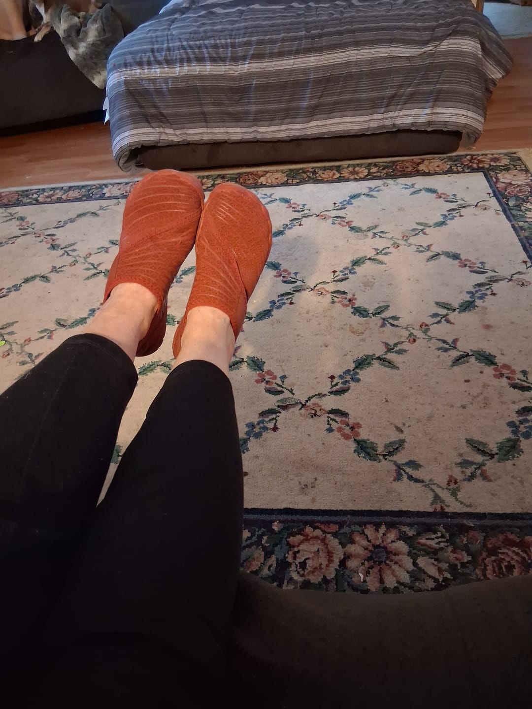 Customer photo review of Solyn-BOGO
