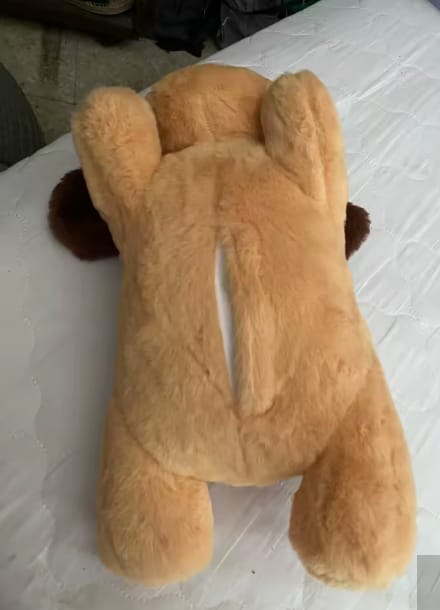 Customer photo review of Peluche con Latido para Perros