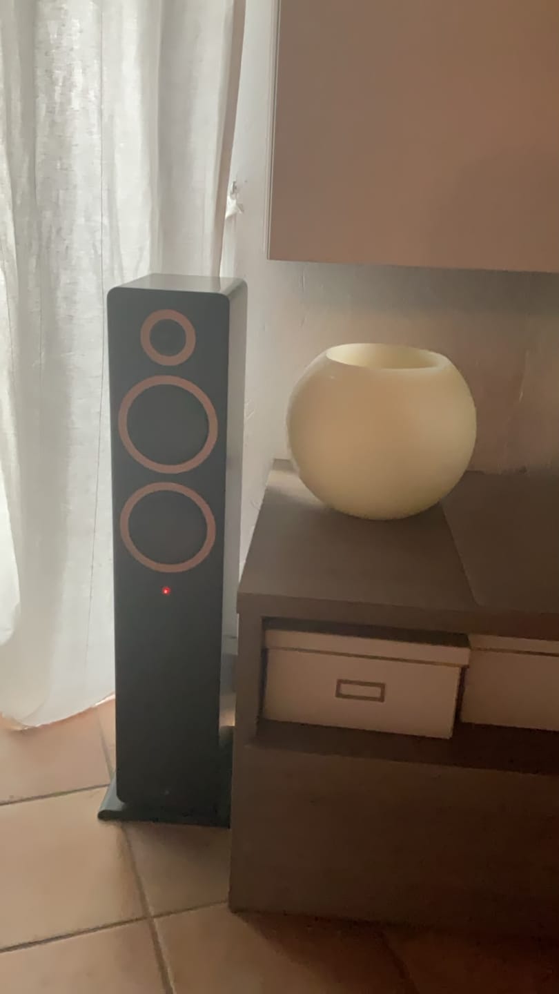 Customer photo review of FORTE A55 MK2
