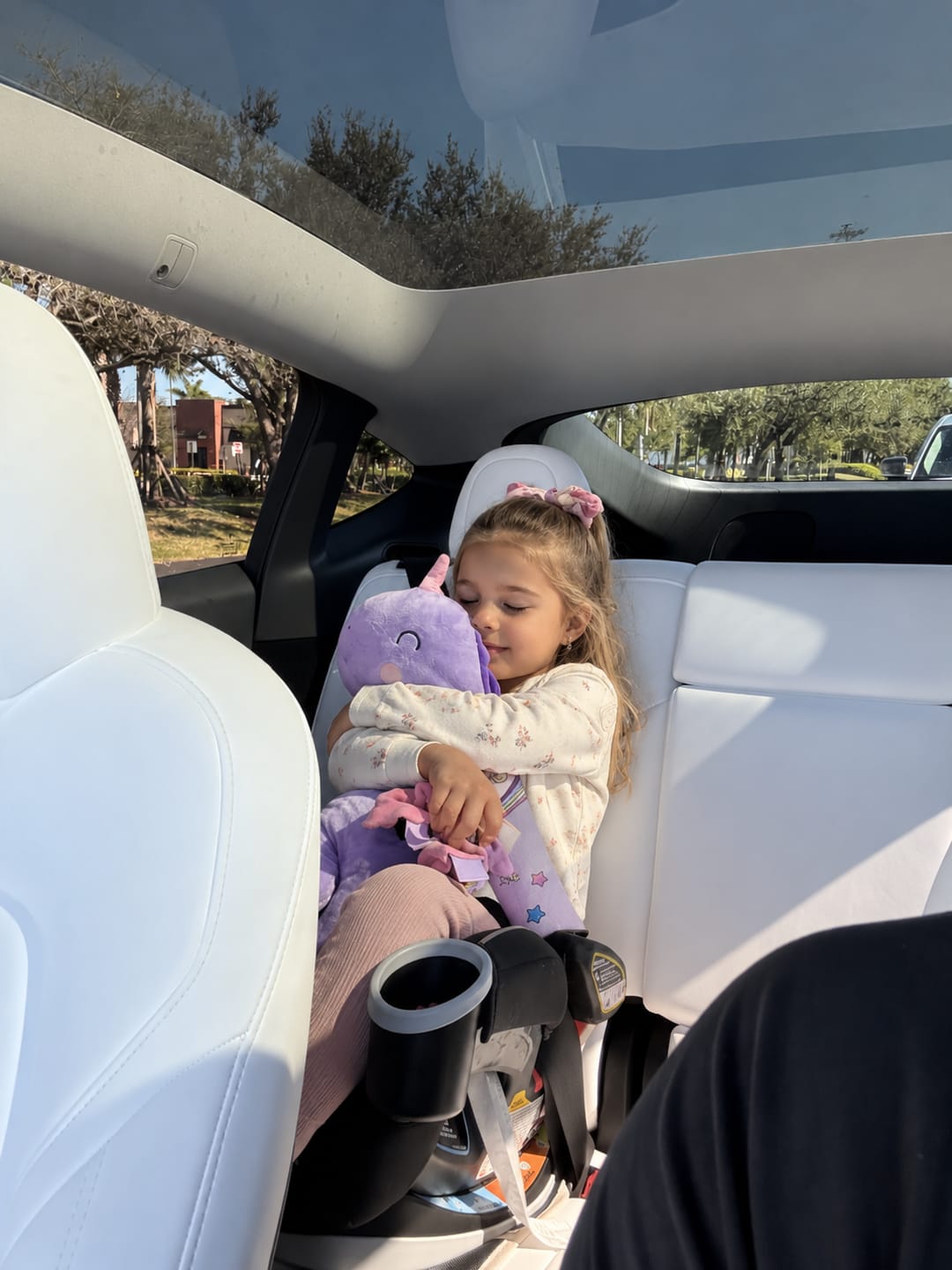 Customer photo review of Reposacabezas Infantil para Coche