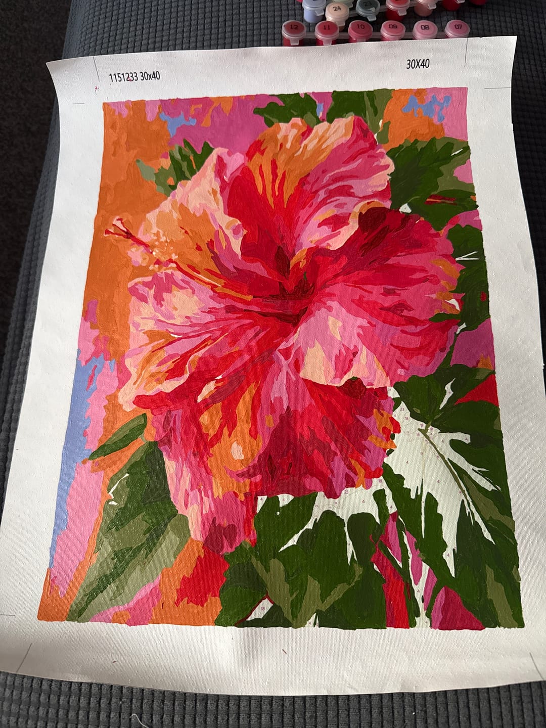 Customer photo review of Surprise Painting | Paint by Numbers