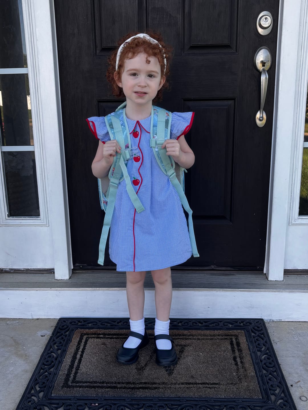 Customer photo review of Adorable Apple Blue Gingham Jane Dress