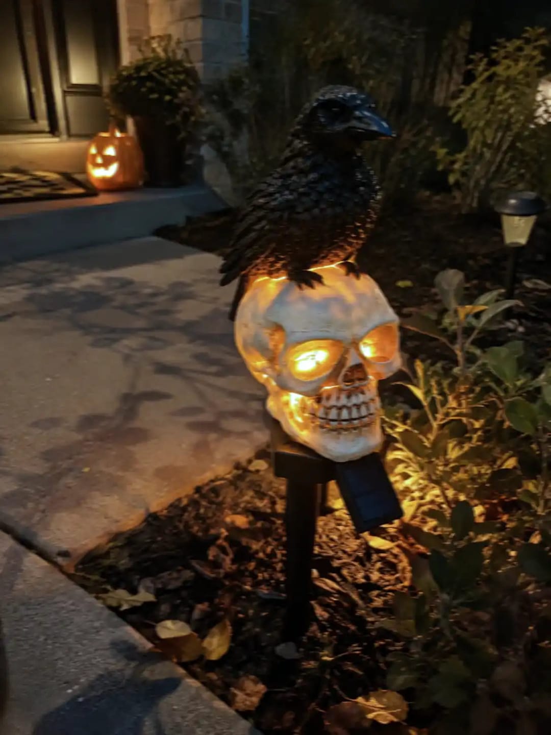 Customer photo review of Halloween Crow Skull Solar Light™