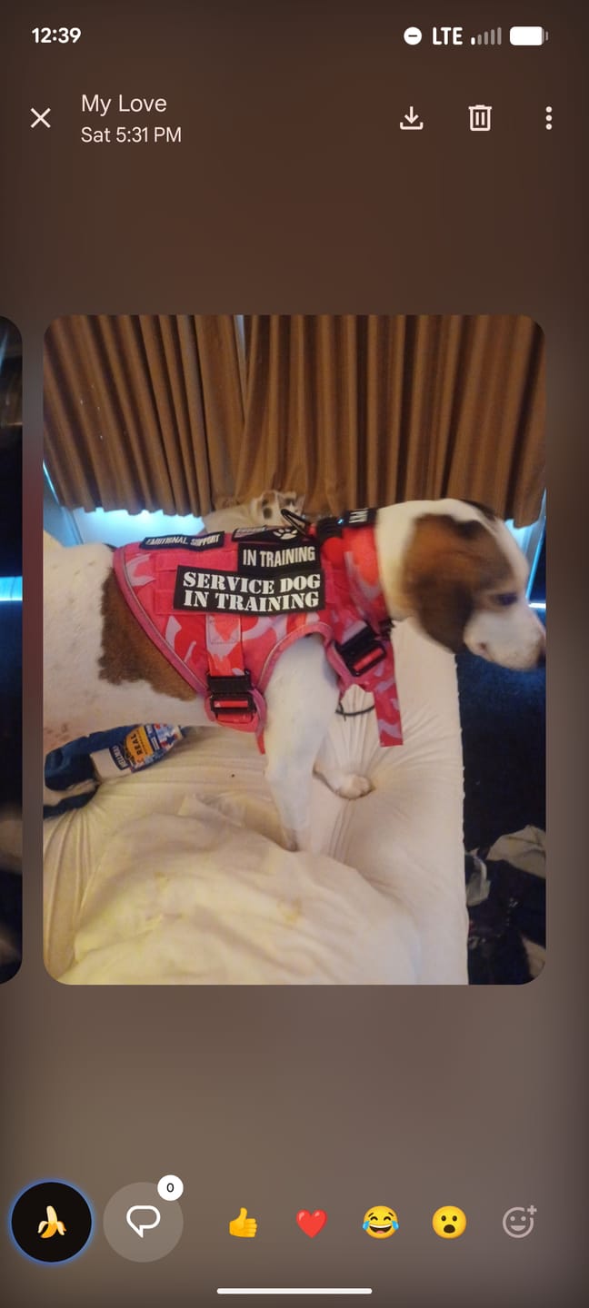 Customer photo review of Team K9® Tactical Bungee Dog Leash