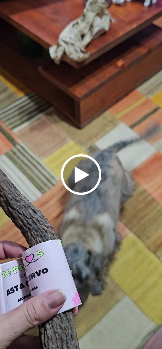 Customer video review of Ebook guia para estimular mentalmente a tu perro en casa