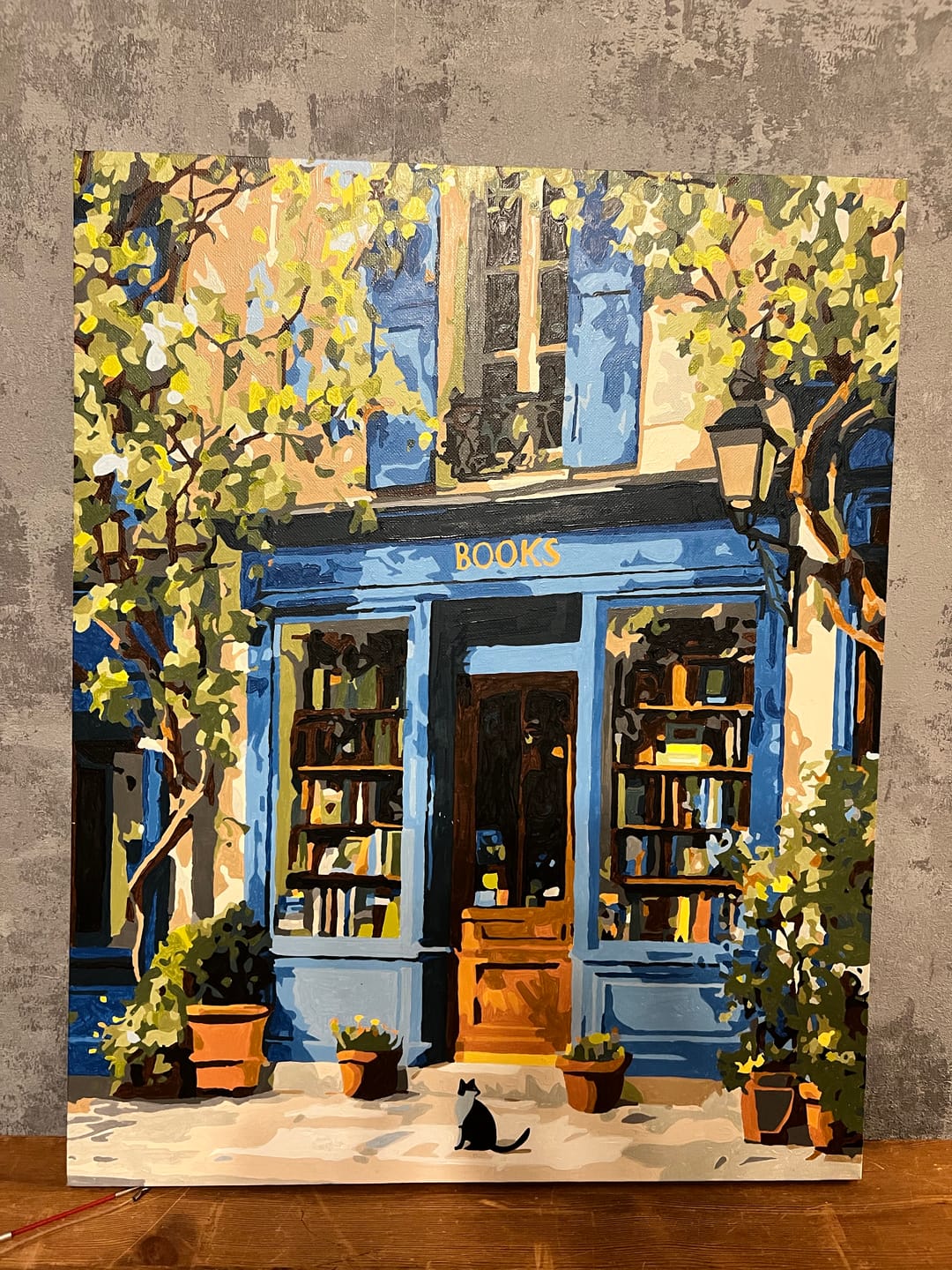 Customer photo review of Where books live | Paint by Number