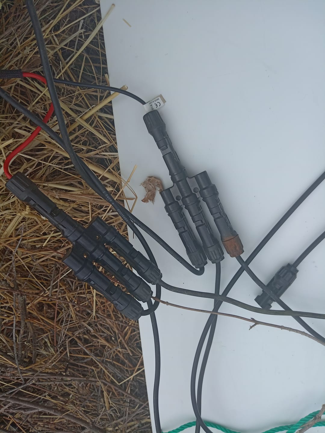 Customer photo review of ALLPOWERS Connecteurs de dérivation solaire en T pour parallèle