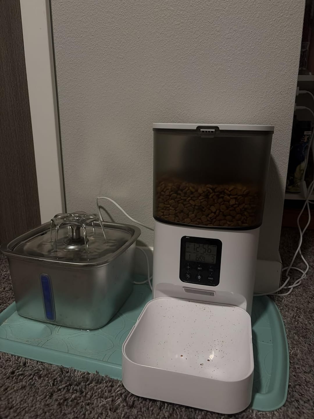 Customer photo review of Futterautomat mit Kamera VisionFeed