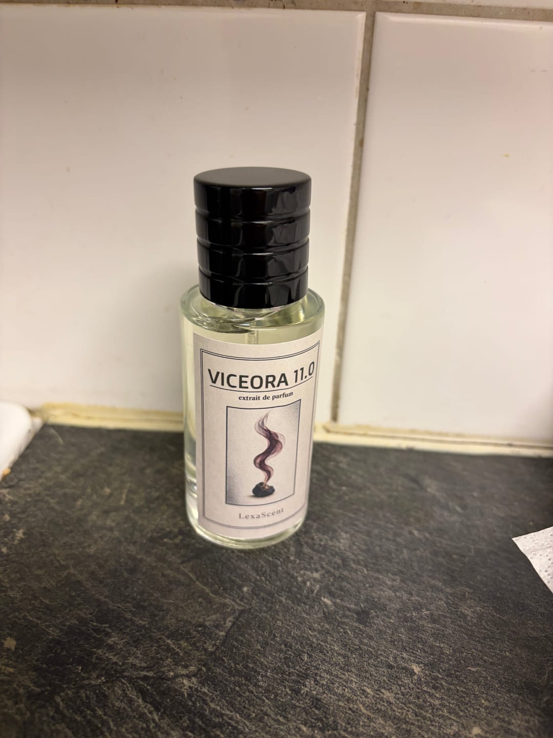 Customer photo review of VICEORA 11.0