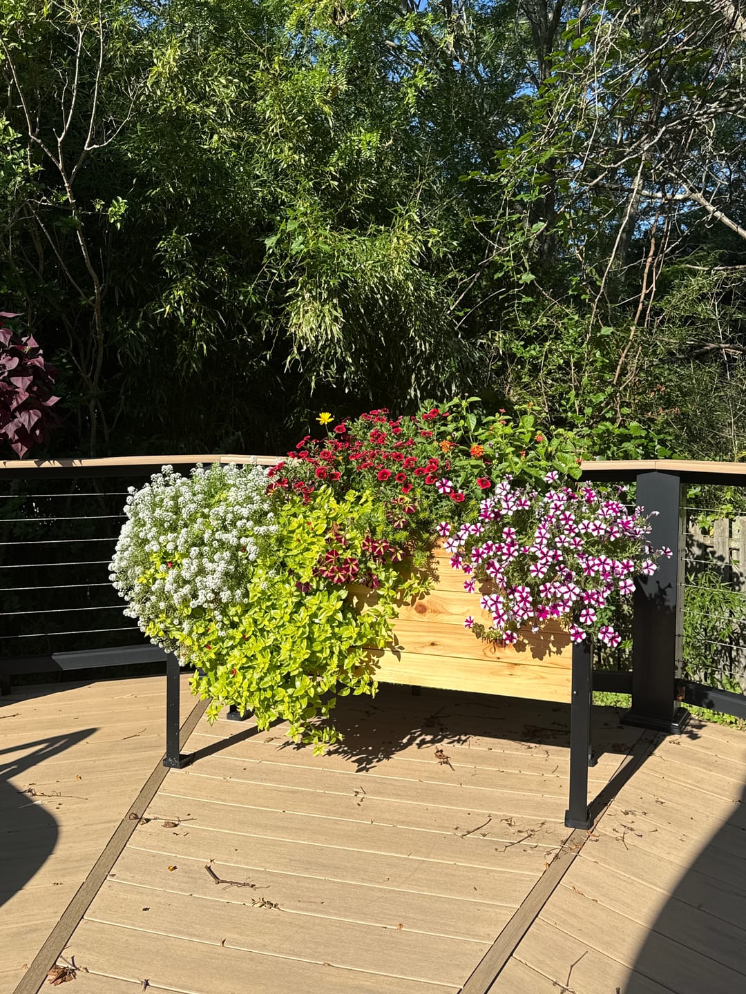 Customer photo review of 18″ x 48″ Deep Root Raised Garden Bed - 30″ TALL - Select Grade