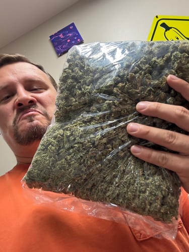 Customer holding a large, clear plastic bag filled with Pineapple Express Minis loose green buds.