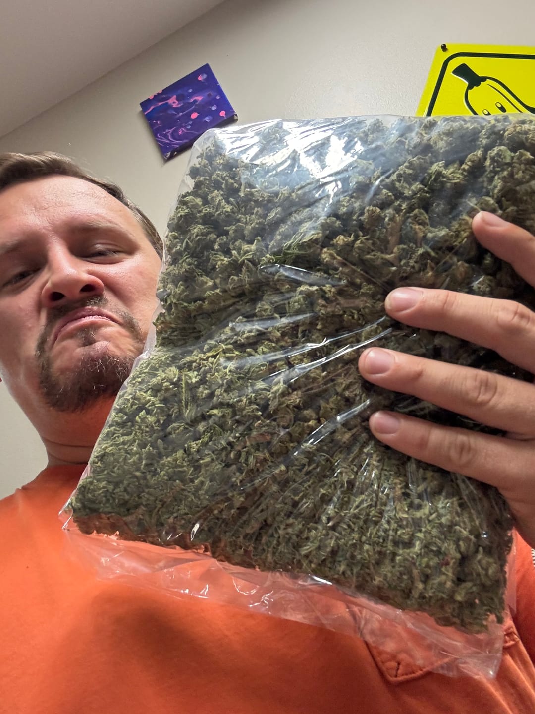 Customer photo review of Pineapple Express Minis - Bulk Minis - Sativa