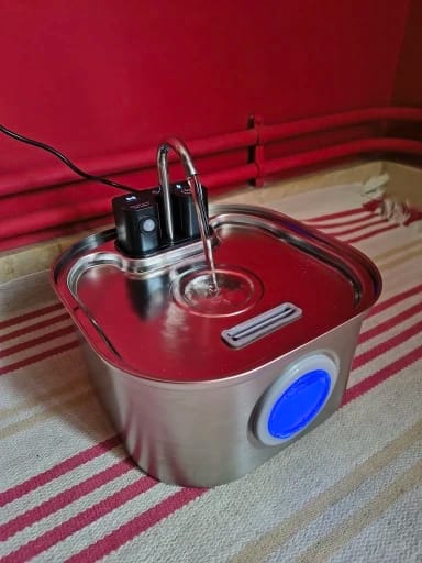 Customer photo review of 3.2L Pet Water Fountain – Wireless or Plug-In Options