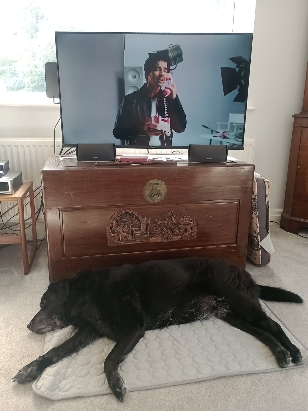 Customer photo review of The Ultimate Cooling Pet Mat